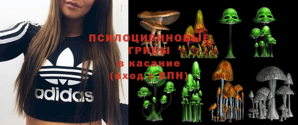 прущий лед Богородск